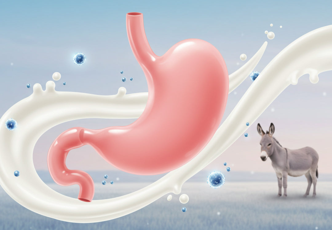 The Protective Benefits of Donkey Milk for Gastric Health
